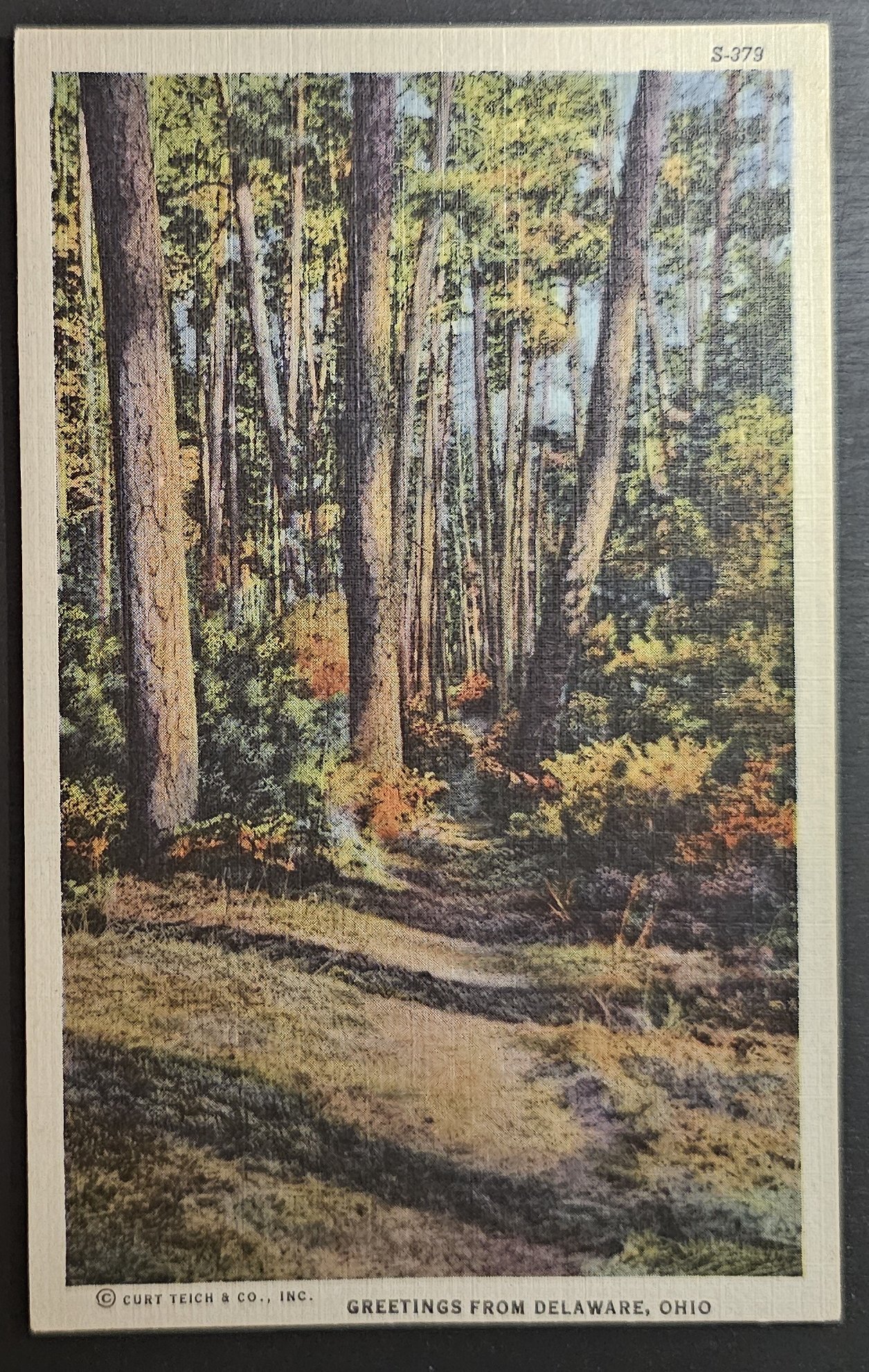 (image for) postcard USA - OH - Ohio #0049